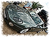 PICT0240.jpg