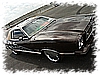 PICT0278.jpg