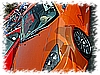 maxituning_pro_54.jpg