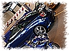 IMG_9183.jpg