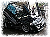 IMG_9337.jpg