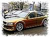 IMG_9461.jpg