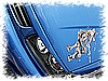 PICT0081.jpg