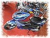 PICT0100.jpg