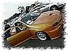 PICT0042.jpg
