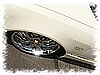 PICT0172.jpg