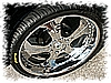 PICT0198.jpg